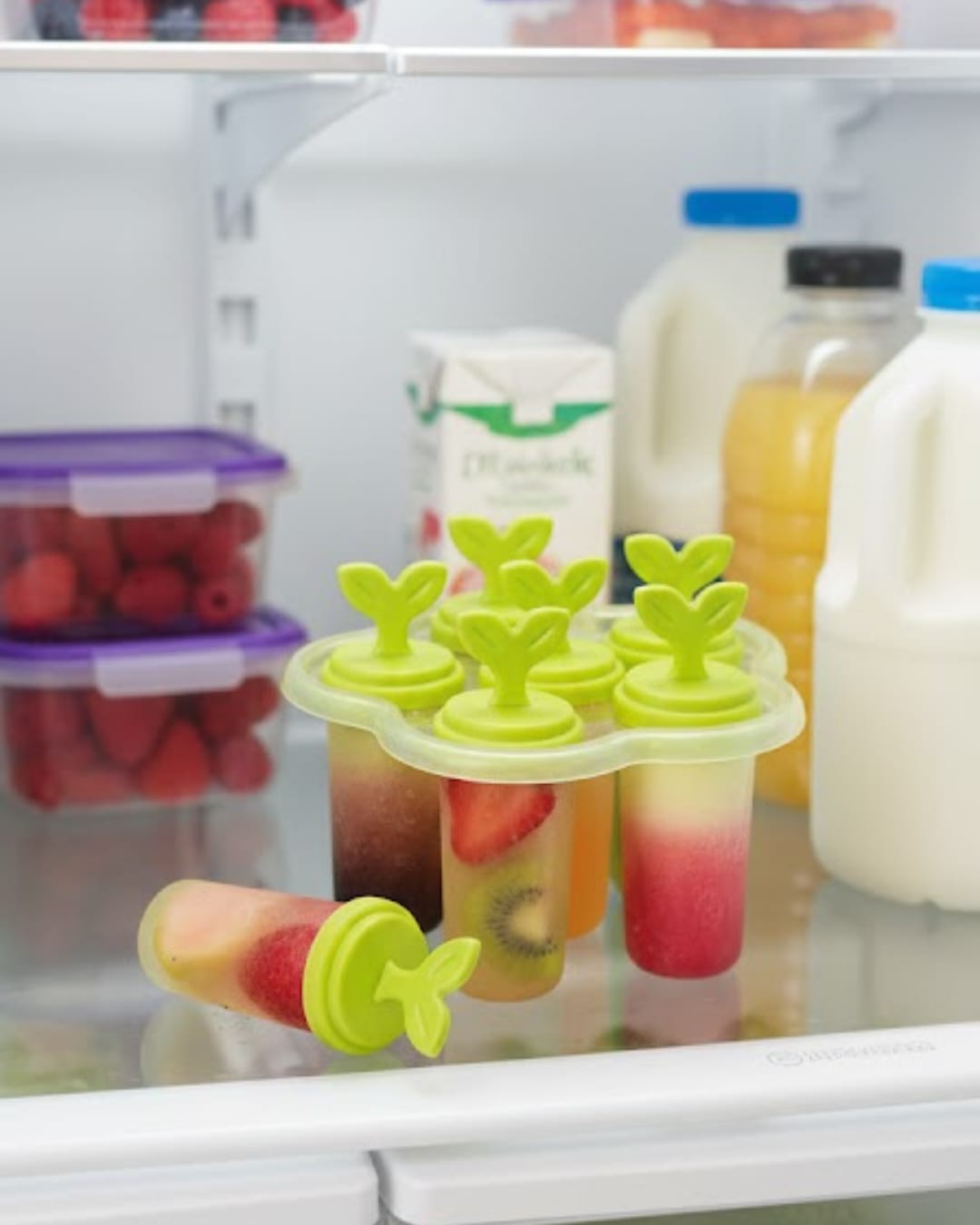 6 Cavity Plastic Ice Candy / Popsicle / Kulfi Maker Mold with Stand  (Pack of 6)